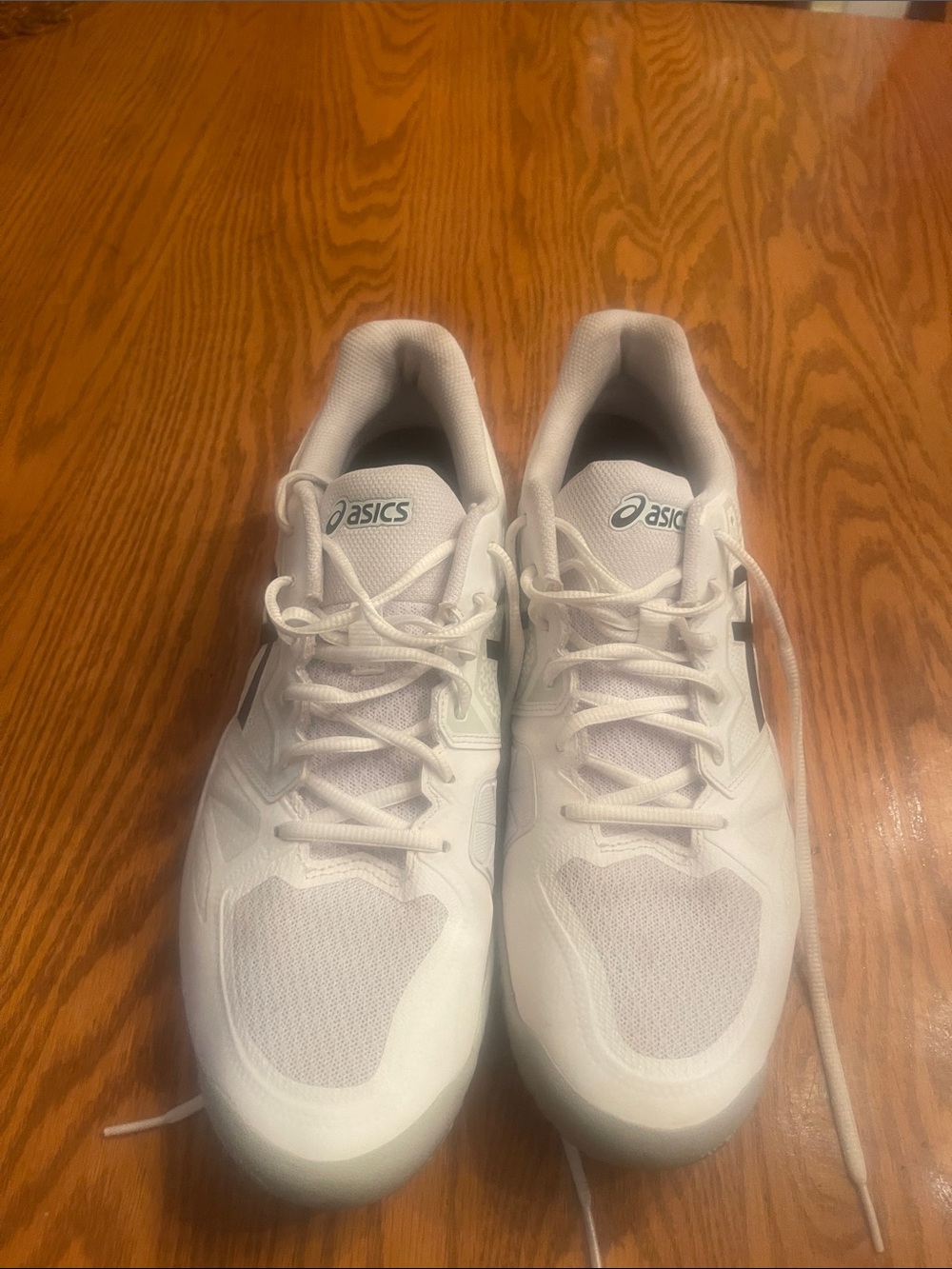 Asics White Mesh Running Shoes